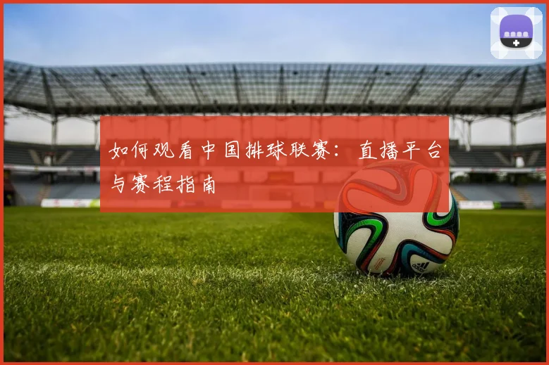 如何观看中国排球联赛:直播平台与赛程指南
