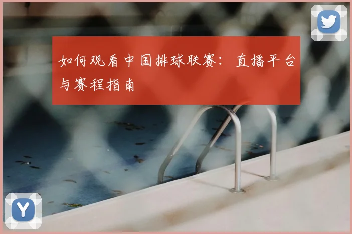 如何观看中国排球联赛：直播平台与赛程指南