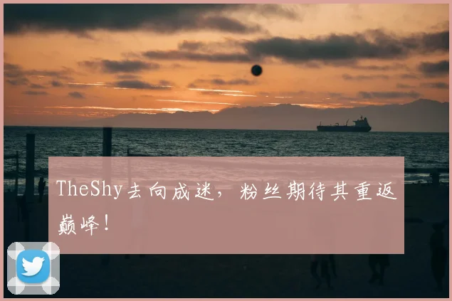TheShy去向成迷，粉丝期待其重返巅峰！