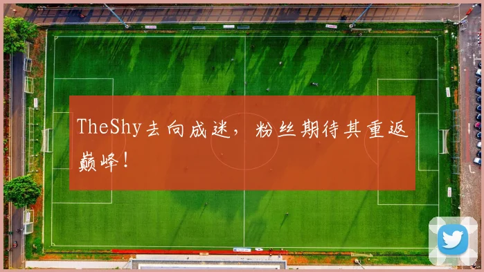 TheShy去向成迷,粉丝期待其重返巅峰!